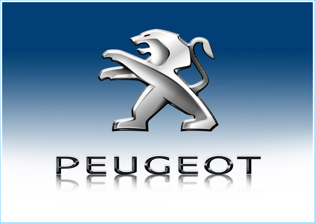 PEUGEOT - Saint Pierre du Perray 